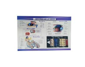 Lamina Sentido De La Vista