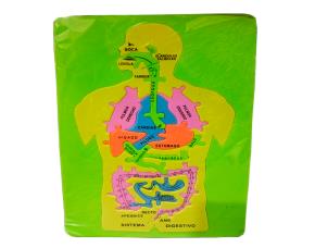 Juguete Educativo 16.5X29Cm