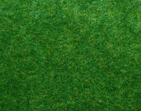 Pie De Grama 1Mts De Anchorollo 8\