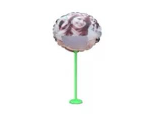 Globo Redondo P.sublimar 28Cm