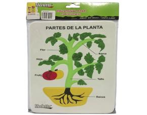 Fomi Educativo Planta