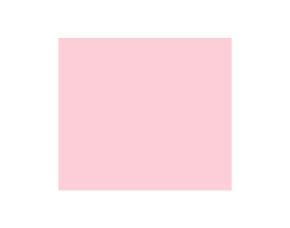 PLGO.CARTULINA.ROSA 22X28\