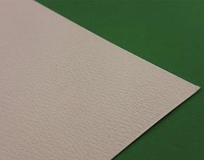 Pk.10 Cart.citrone Rosa 65X90Cm 220G