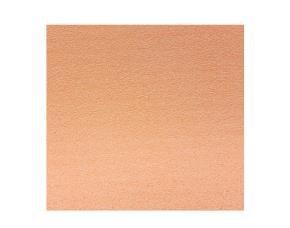 Pk.10 Fomi Felpa(Plush)T/C Durazno