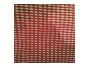 FOMI PLG C/TELA CUADRICULA PEQUEÑA ROJO 50X70CM