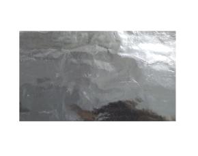 Paquete De 50 Papel Alumino 20X26Plata