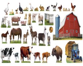 Pqt 37Pza Animal Granj Display