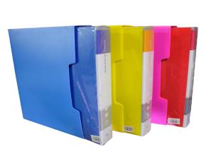 CARPETA PLAST C/80 PROTECTORES